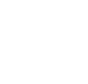 vector